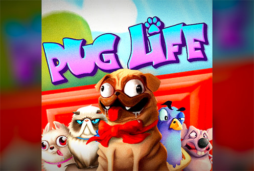 Pug Life